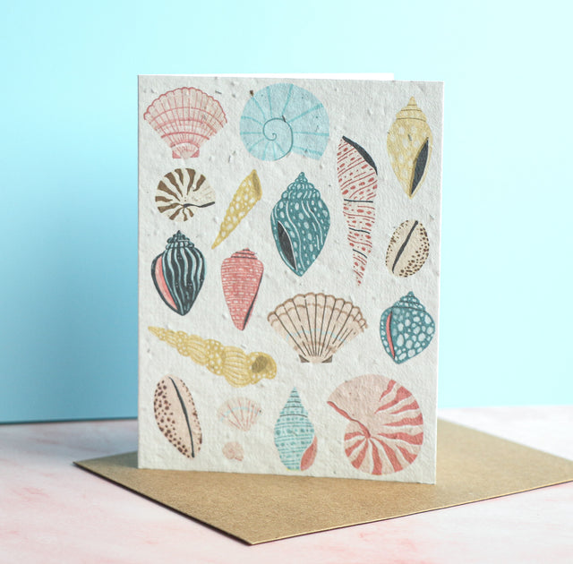 seashells