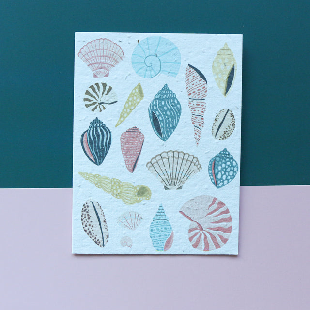 seashells