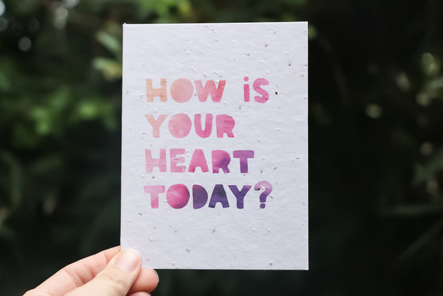 Encouragement Card Bundle, 5-PACK