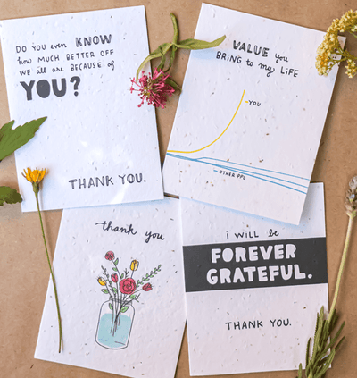 Gratitude, Assorted 4-pack