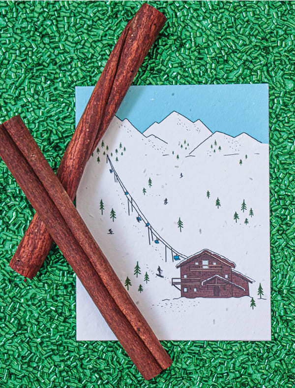 holiday Christmas wildflower seed paper card for mental health