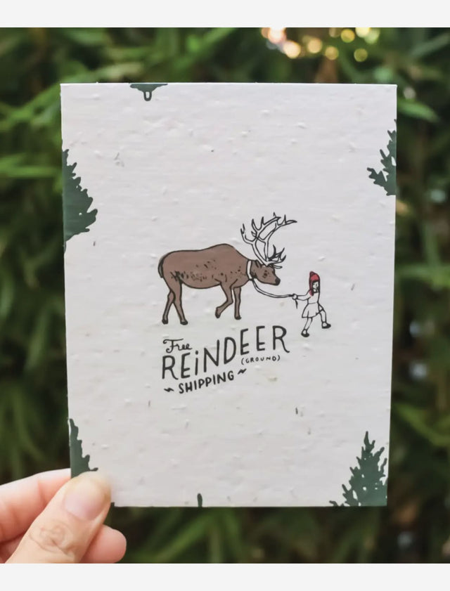 Holiday Christmas wildflower seed paper card