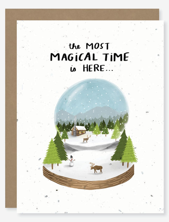 snow globe