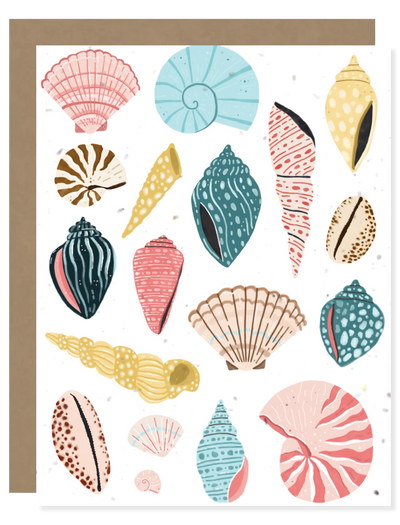 seashells