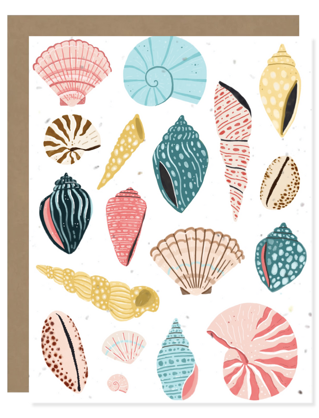 seashells