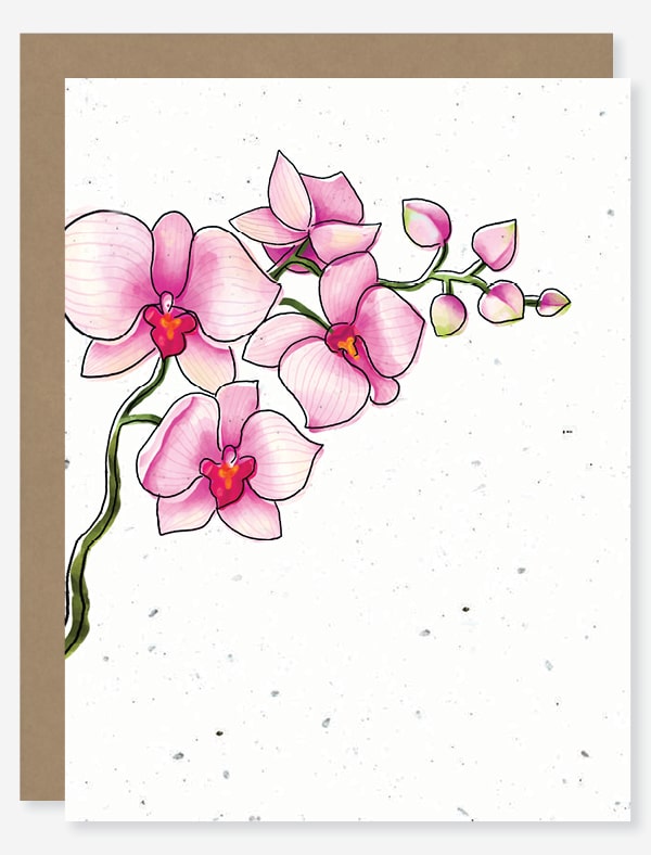 Orchid Wildflower Seed Paper Greeting Card