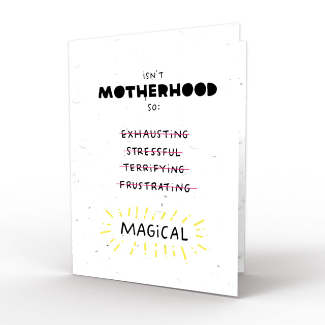 New Mom Support Series, 5-PACK