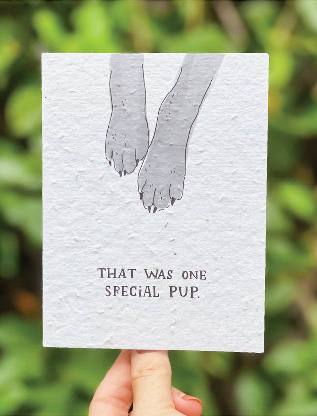 sympathy wildflower seed paper card for mental health