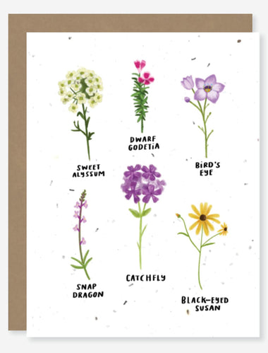 blank wildflower seed paper card for mental health